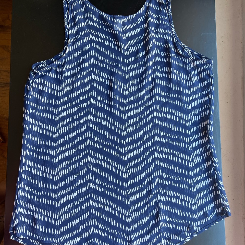Sheer Blouse - Picture 3 of 6